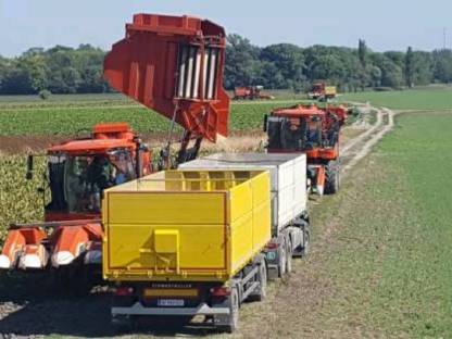 Bild 4:Transport im Agrarsektor