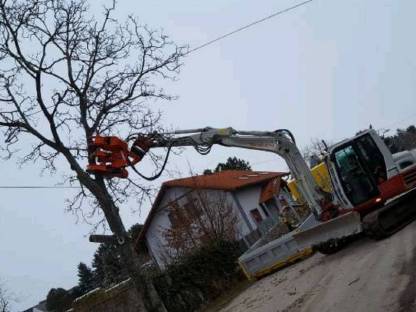 Bild 2:9t Bagger mit Woodcracker