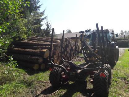 Bild 3:Holzbringung, Holztransport