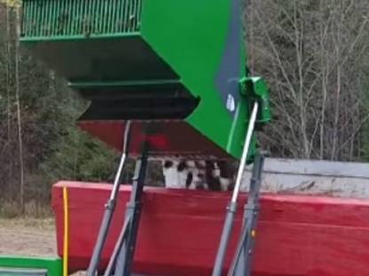 Bild 3:Wir sammeln Ihre Steine mit dem Steinsammler Kivi Pekka!