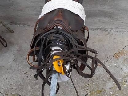 Bild 2:Pferdesattel mit Satteldecke und Zaumzeug