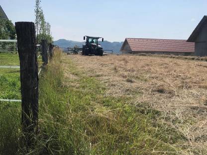 Bild 4:Grünlandflächen