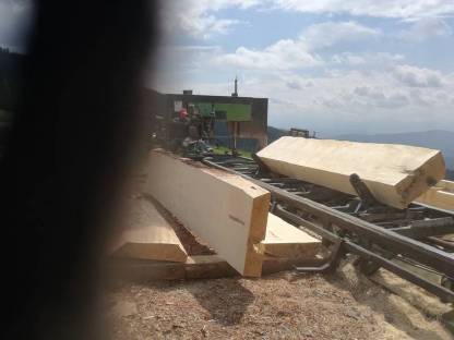 Bild 2:Wandersäge Heckenbichler