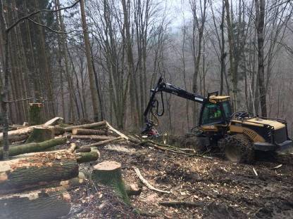 Bild 3:Wir Kaufen Ihr Holz Alles Anbieten !!