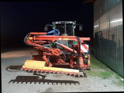 Bild 7:Freischneiden mit Astschere