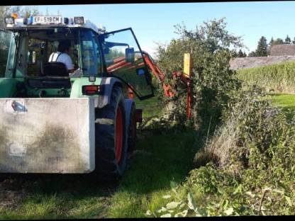 Bild 3:Freischneiden mit Astschere