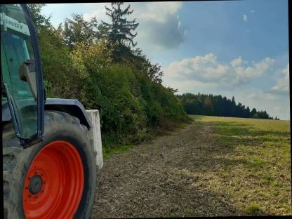 Bild 8:Freischneiden mit Astschere