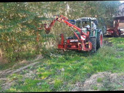 Bild 4:Freischneiden mit Astschere