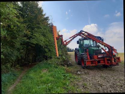 Bild 6:Freischneiden mit Astschere