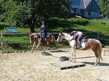 Bild 8:Reitbeteiligung Western für 2