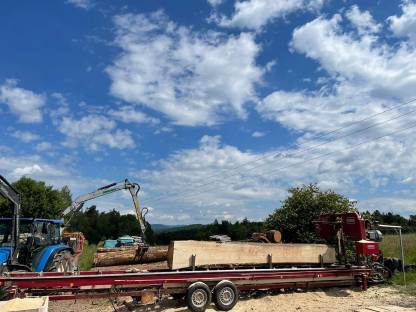 Bild 3:Biete Mobilen Lohnschitt Mobiles Sägewerk Blockbandsäge