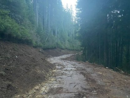 Bild 6:Böschungspflege und Böschungssanierungen