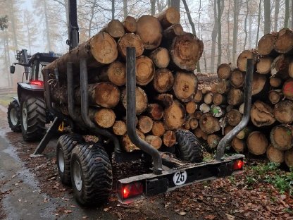 Bild 2:Holztransport, Holzrücken