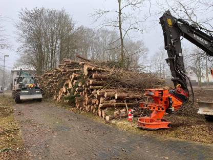 Bild 4:Forst-Alm-Wegsanierungen, Rekultivierung, Böschungspflege.