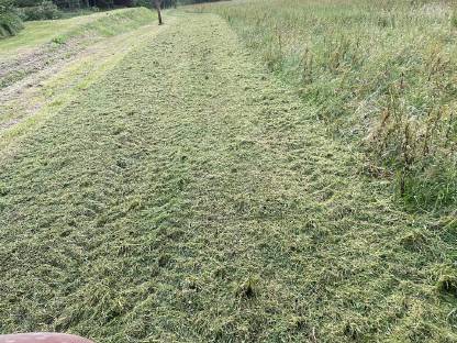 Bild 8:Forst-Alm-Wegsanierungen, Rekultivierung, Böschungspflege.