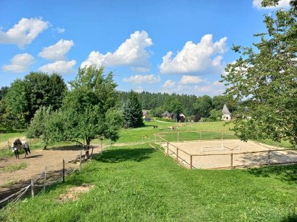 Bild 9:Reitbeteiligung Western für 2