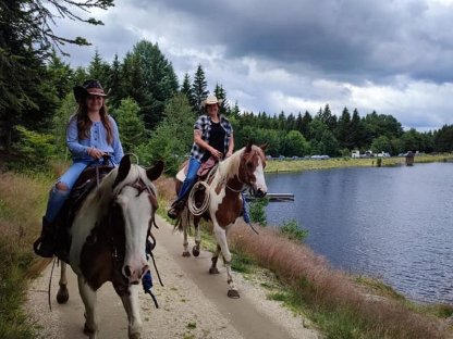 Bild 2:Reitbeteiligung Western für 2