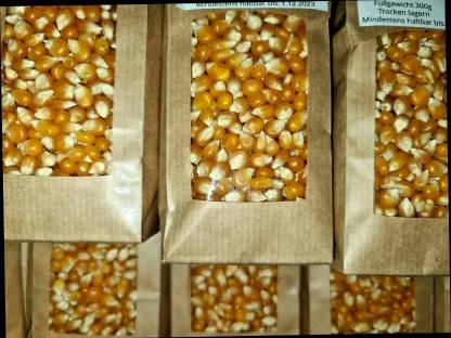 Bild 2:Popcornmais