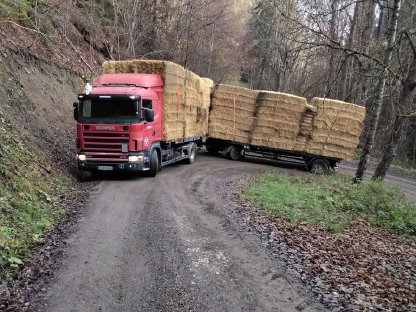 Stroh und Heu zugestellt