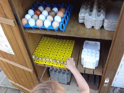 Bild 2:24/7 Frische Hühnereier zu verkaufen 