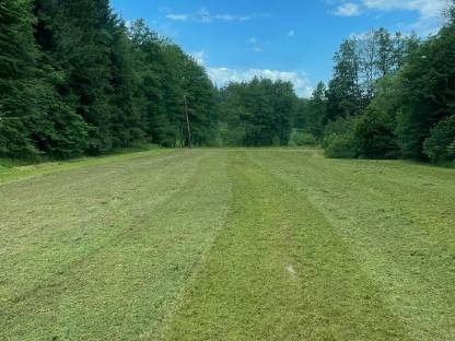 Bild 7:Forst-Alm-Wegsanierungen, Rekultivierung, Böschungspflege.