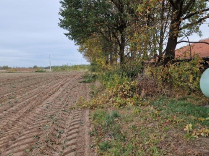 Bild 4:Knickpflege, Heckenschnitt, Feldkantenpflege