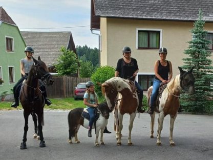 Bild 3:Reitbeteiligung Western für 2