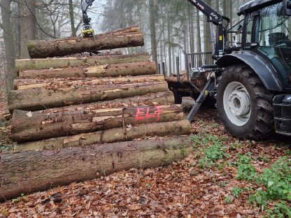Bild 3:Holztransport, Holzrücken