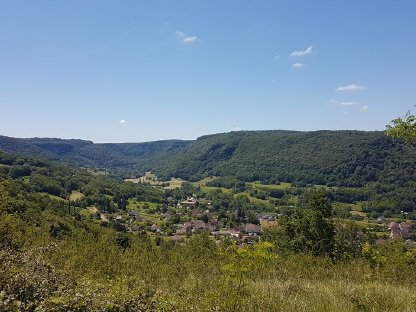 Bild 2:Bio-Wald-Honig aus dem Jura