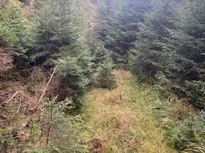 Bild 5:Böschungspflege und Böschungssanierungen