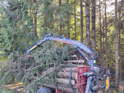 Bild 3:Reisigtransport, Hackguttransport, Holztransport