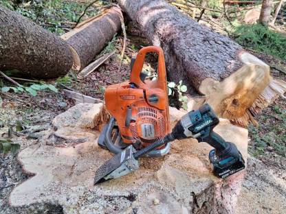 Bild 8:Holzeinschlag, Verkehrssicherung, Sturmholz