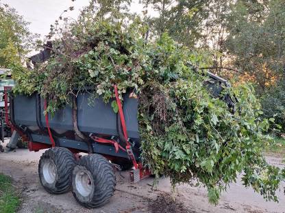 Bild 2:Reisigtransport, Hackguttransport, Holztransport