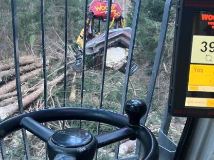 Bild 3:Holz- und Prozessorarbeiten