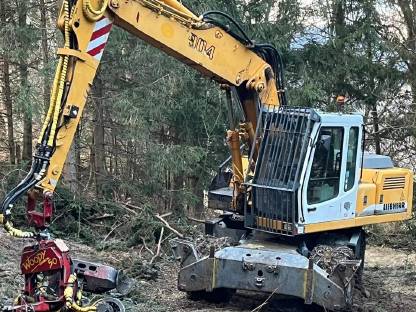 Bild 2:Holz- und Prozessorarbeiten