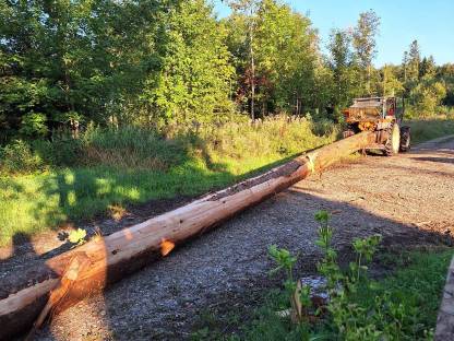 Bild 4:Langholzrücken