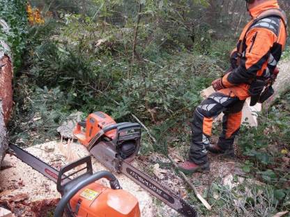 Bild 5:Holzeinschlag, Verkehrssicherung, Sturmholz