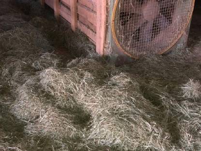 Heubelüftung, Ventilator