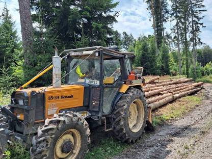 Bild 3:Langholzrücken