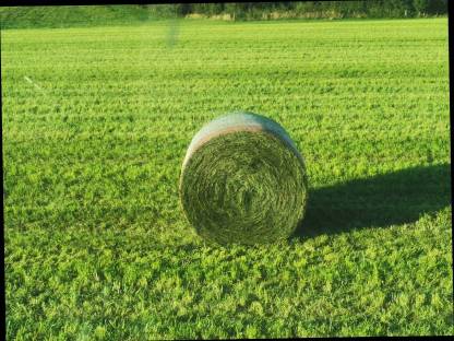 Bild 3:Div. Agrardienste - Lohnarbeiten