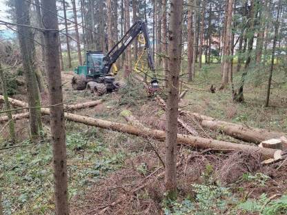 Bild 2:Forstunternehmen Lindschinger