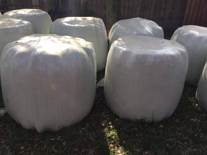 Bild 2:Siloballen Bucklige Welt NÖ