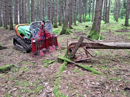 Bild 2:Böschungen und Forstmulchen, Wurzelstockfräsen