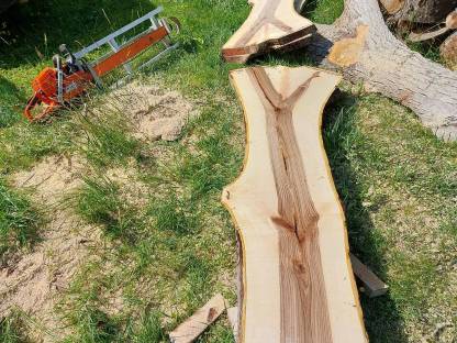 Bild 6:Lohnschnitt, Mobiles Sägewerk, Alaskan Mill