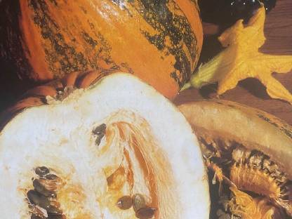 Bild 2:Kürbiskernöl g.g.A.