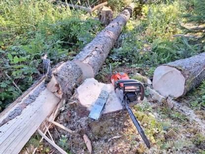 Bild 6:Holzeinschlag, Verkehrssicherung, Sturmholz