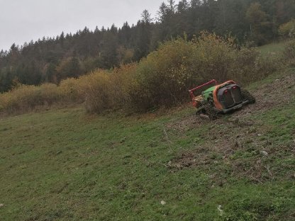 Bild 4:Böschungen und Forstmulchen, Wurzelstockfräsen
