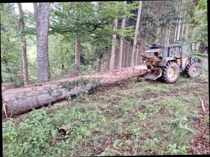 Bild 2:Langholzrücken