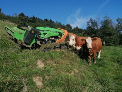 Bild 3:Böschungen und Forstmulchen, Wurzelstockfräsen