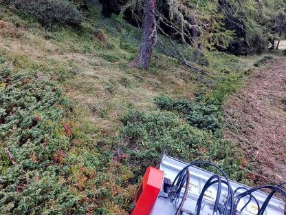 Bild 6:Mulcharbeiten mit Ibex G2